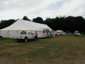 Lots Of Lovely Grass Awaits Us