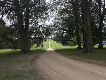 Leeds-Festival-Car-Parking_2019_028.jpg