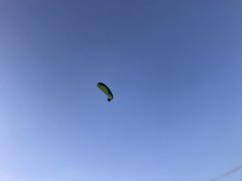 Leeds-Festival-Car-Parking_2019_030.jpg