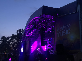 Kew-The-Music-Litter-Picking_2019_019.jpg