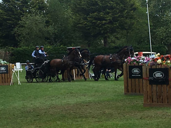 windsor_horse_show_2017_Windsor_castle_65.jpg