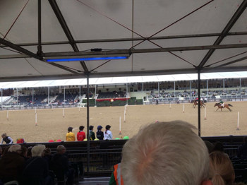 windsor_horse_show_2017_Windsor_castle_90.jpg