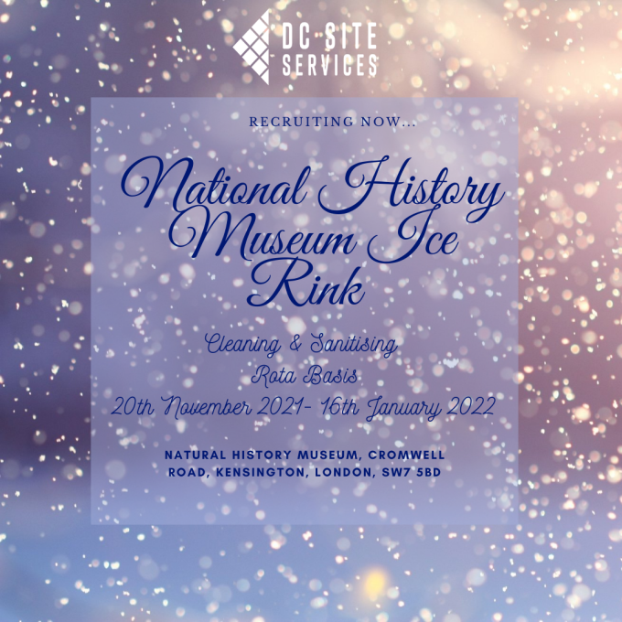 national-history-museum-ice-rink