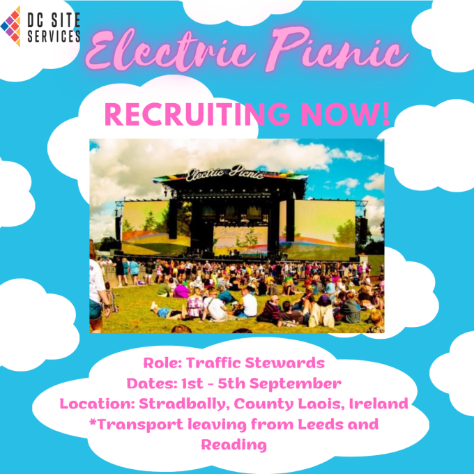 electric-picnic1