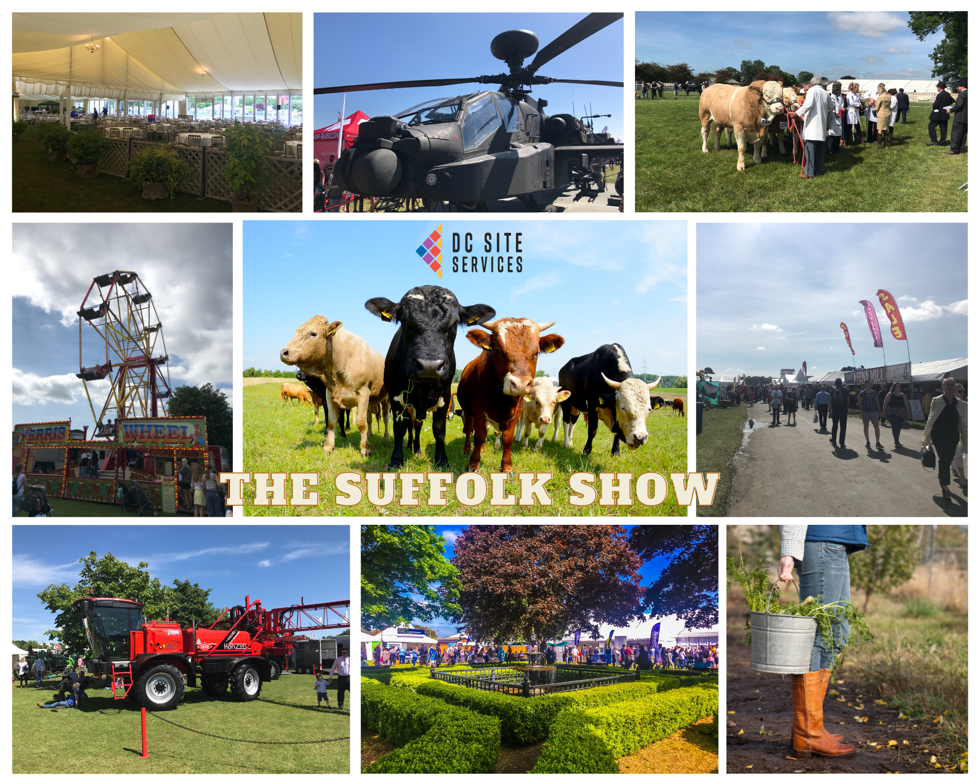 the-suffolk-show-poster
