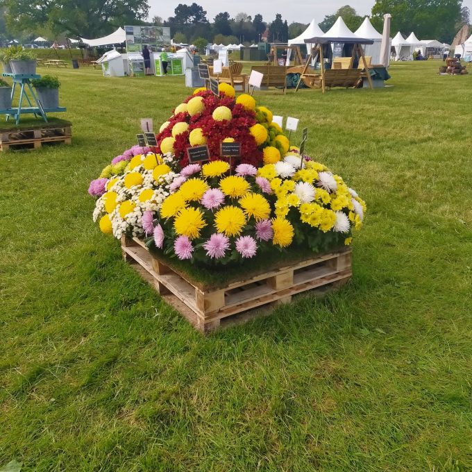 BBC Gardener's World Spring (2)