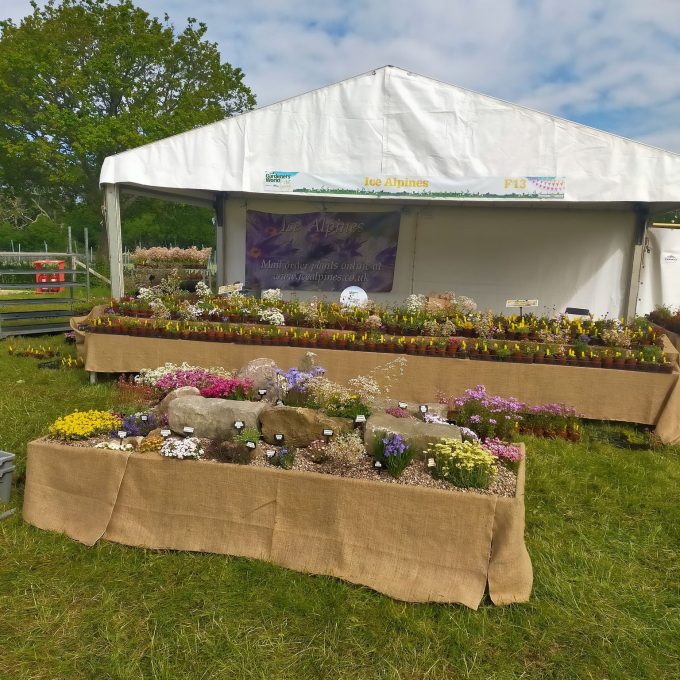 BBC Gardener's World Spring (4)