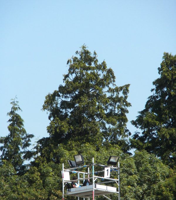 Glastonbury Festival 2010 Set A Mark Hatchard 0026 Security Watching Out For Those Sneaky Fence Jumping Birds
