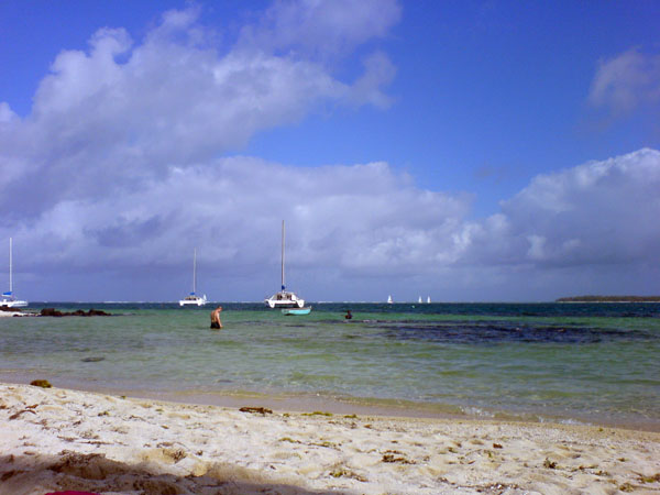 Phil and Saifalee's Wedding - Mauritius