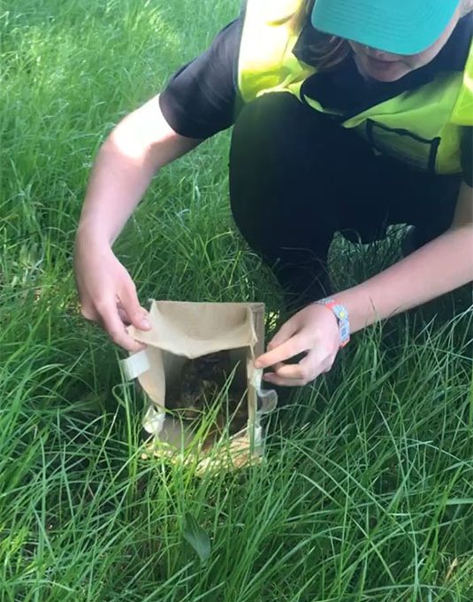 cab91f86e0c44ab3b2e4711d539a6a89 copy.jpg