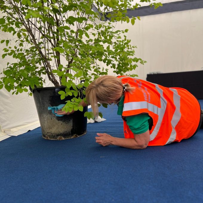 crew cleaning plant pot.JPG