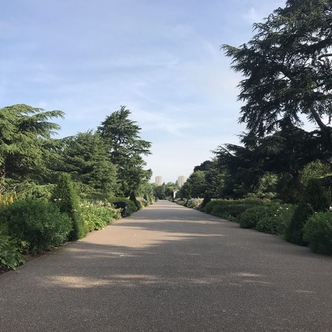 Kew-The-Music-Litter-Picking_2019_023.jpg