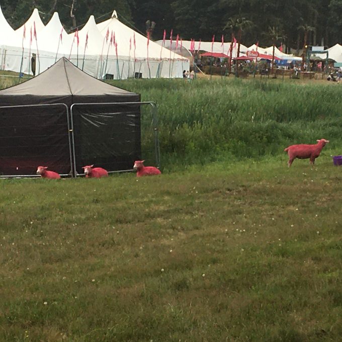 Latitude1.JPG