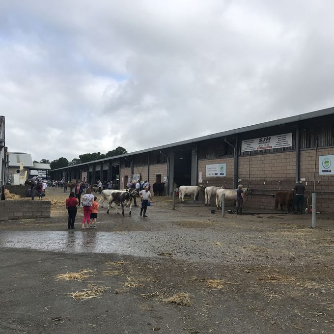 Royal-Welsh-Show_2019_008.jpg