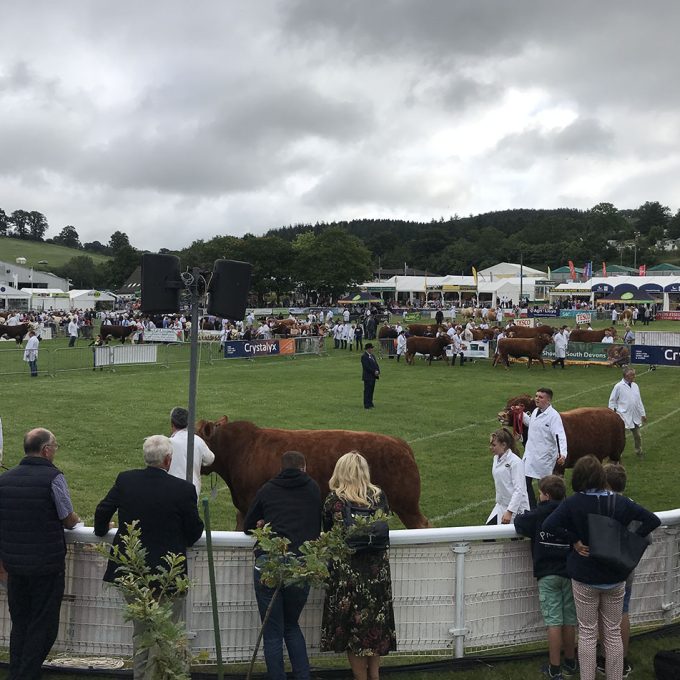 Royal-Welsh-Show_2019_009.jpg