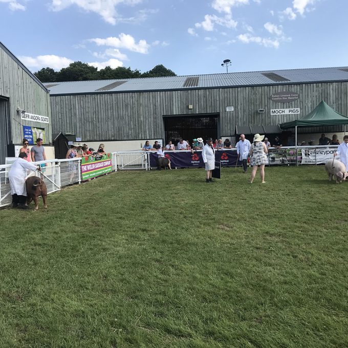 Royal-Welsh-Show_2019_022.jpg