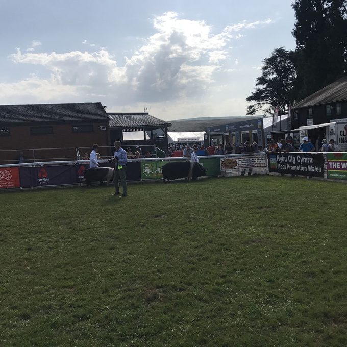 Royal-Welsh-Show_2019_026.jpg