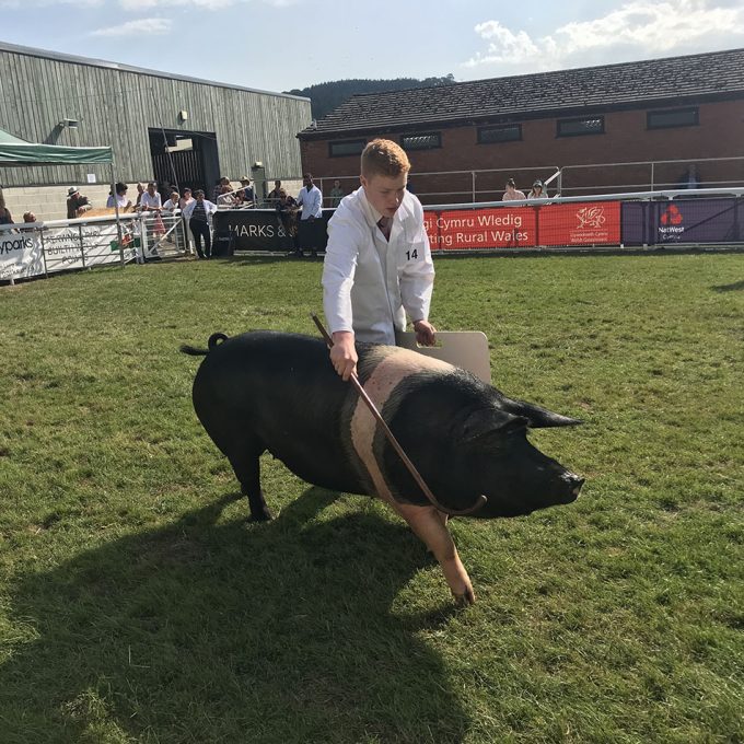 Royal-Welsh-Show_2019_027.jpg