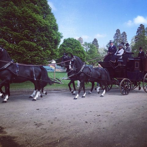 Royal Windsor Horse Show