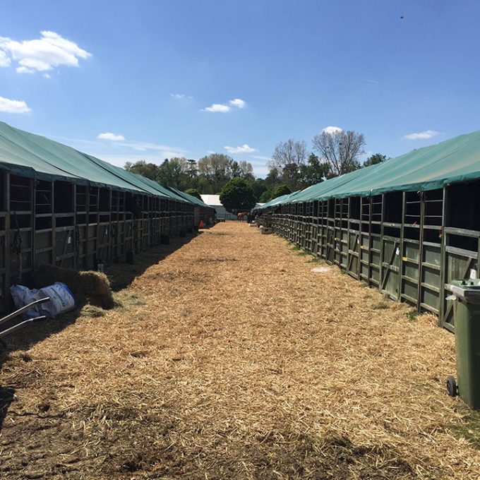 royal-windsor-horse-show_windsor_2016_cleaning_40.jpg