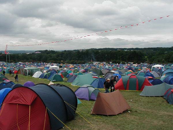 Still Using The Old Metal Poles You Want Some Nice New Wooden Ones You Do