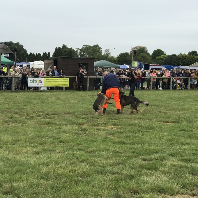 Suffolk-Show_2019_002.jpg
