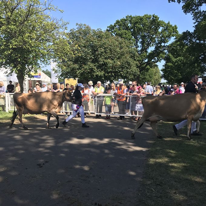 suffolk_show_2017_toilels_cleaning_05.jpg